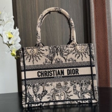 Christian Dior Shopping Bags